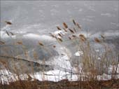 IMG_0555b