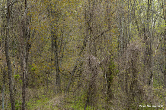 _DSC2059