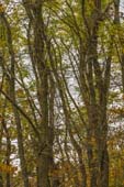 _DSC0841