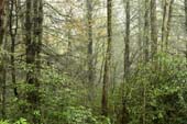 _DSC4923J